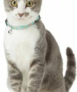 Goody Box||Frisco Goody Box Kitten Toys & Treats + Frisco Multi-Cat Unscented Clumping Clay Cat Litter -Dog Cat Corner 301962 PT4. SY630 V1622824042