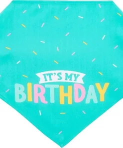 Frisco Birthday Bandana + Confetti Dog & Cat Hat -Dog Cat Corner 302368 PT2. SY630 V1633075913