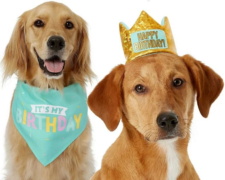 Frisco Birthday Bandana, X-Small/Small + Dog & Cat Crown, X-Small/Small 5 Frisco Birthday Bandana, X-Small/Small + Dog & Cat Crown, X-Small/Small - Image 3