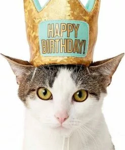 Frisco Birthday Bandana, X-Small/Small + Dog & Cat Crown, X-Small/Small 15 Frisco Birthday Bandana, X-Small/Small + Dog & Cat Crown, X-Small/Small -Dog Cat Corner 302372 PT4. SY630 V1633061817