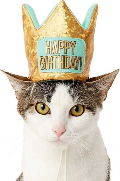 Frisco Birthday Bandana, X-Small/Small + Dog & Cat Crown, X-Small/Small 7 Frisco Birthday Bandana, X-Small/Small + Dog & Cat Crown, X-Small/Small - Image 5