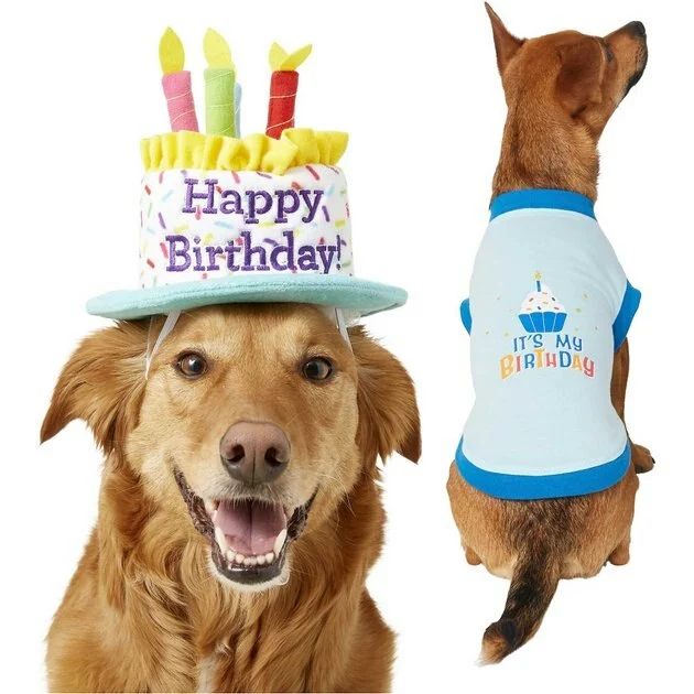Frisco Birthday Cake Hat, Medium/Large + Dog & Cat T-Shirt, Blue 3 Frisco Birthday Cake Hat, Medium/Large + Dog & Cat T-Shirt, Blue