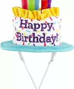 Frisco Birthday Cake Hat, Medium/Large + Dog & Cat T-Shirt, Blue 13 Frisco Birthday Cake Hat, Medium/Large + Dog & Cat T-Shirt, Blue -Dog Cat Corner 302376 PT2. SY630 V1623058044