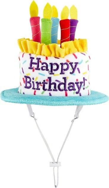Frisco Birthday Cake Hat, Medium/Large + Dog & Cat T-Shirt, Blue 5 Frisco Birthday Cake Hat, Medium/Large + Dog & Cat T-Shirt, Blue - Image 3