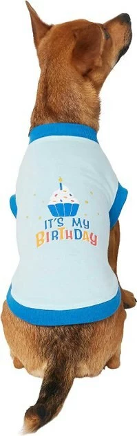 Frisco Birthday Cake Hat, Medium/Large + Dog & Cat T-Shirt, Blue 8 Frisco Birthday Cake Hat, Medium/Large + Dog & Cat T-Shirt, Blue - Image 6