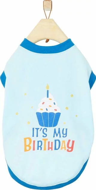 Frisco Birthday Cake Hat, Medium/Large + Dog & Cat T-Shirt, Blue 9 Frisco Birthday Cake Hat, Medium/Large + Dog & Cat T-Shirt, Blue - Image 7