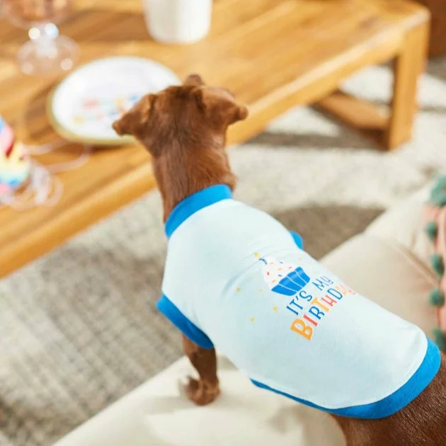 Frisco Birthday Cake Hat, Medium/Large + Dog & Cat T-Shirt, Blue 10 Frisco Birthday Cake Hat, Medium/Large + Dog & Cat T-Shirt, Blue - Image 8