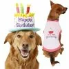 Frisco Birthday Cake Hat, Medium/Large + Dog & Cat T-Shirt, Pink -Dog Cat Corner 302384 MAIN. SY630 V1623062548