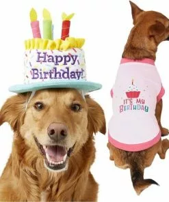 Frisco Birthday Cake Hat, Medium/Large + Dog & Cat T-Shirt, Pink