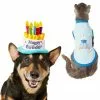 Frisco Birthday Cake Hat, X-Small/Small + Dog & Cat T-Shirt, Blue -Dog Cat Corner 302392 MAIN. SY630 V1623079046