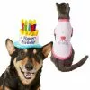 Frisco Birthday Cake Hat, X-Small/Small + Dog & Cat T-Shirt, Pink -Dog Cat Corner 302396 MAIN. SY630 V1623088054