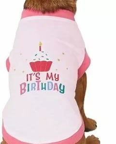 Frisco Birthday Cake Hat, X-Small/Small + Dog & Cat T-Shirt, Pink -Dog Cat Corner 302396 PT5. SY630 V1623045145