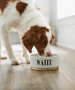 Frisco Ceramic Bowl with Wood Base, 2.5 Cups + Treat Jar, 4 Cups -Dog Cat Corner 302412 PT3. SY630 V1623071551