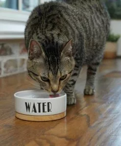 Frisco Ceramic Dog & Cat Water + Food Bowl with Wood Base -Dog Cat Corner 302414 PT3. SY630 V1623051143