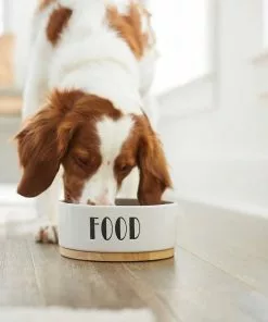 Frisco Ceramic Dog Bowl with Wood Base, 2.5 Cups + Treat Jar, 4 Cups -Dog Cat Corner 302418 PT4. SY630 V1623088650