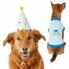 Frisco Confetti Birthday Hat, Medium/Large + Dog & Cat T-Shirt, Blue -Dog Cat Corner 302428 MAIN. SY630 V1623064656