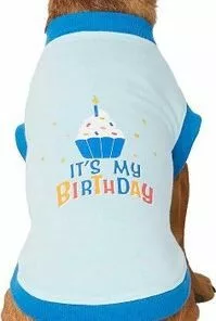 Frisco Confetti Birthday Hat, Medium/Large + Dog & Cat T-Shirt, Blue -Dog Cat Corner 302428 PT5. SY630 V1623082953