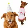 Frisco Confetti Birthday Hat, Medium/Large + Dog & Cat T-Shirt, Pink -Dog Cat Corner 302434 MAIN. SY630 V1623046658