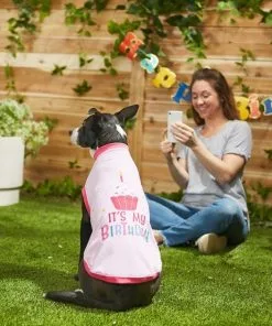 Frisco Confetti Birthday Hat, Medium/Large + Dog & Cat T-Shirt, Pink -Dog Cat Corner 302434 PT7. SY630 V1623037352