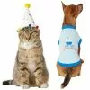 Frisco Confetti Birthday Hat, Small/Medium + Dog & Cat T-Shirt, Blue