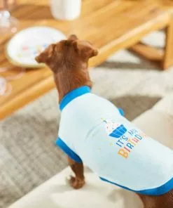 Frisco Confetti Birthday Hat, Small/Medium + Dog & Cat T-Shirt, Blue -Dog Cat Corner 302442 PT7. SY630 V1623067948