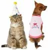 Frisco Confetti Birthday Hat, Small/Medium + Dog & Cat T-Shirt, Pink -Dog Cat Corner 302446 MAIN. SY630 V1623043063