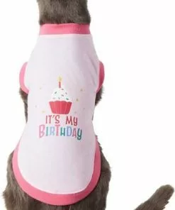 Frisco Confetti Birthday Hat, Small/Medium + Dog & Cat T-Shirt, Pink -Dog Cat Corner 302446 PT5. SY630 V1623038847