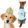 Frisco Happy Birthday Crown, Medium/Large + Dog & Cat T-Shirt, Blue -Dog Cat Corner 302454 MAIN. SY630 V1623063780