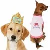 Frisco Happy Birthday Crown, Medium/Large + Dog & Cat T-Shirt, Pink -Dog Cat Corner 302462 MAIN. SY630 V1623077552