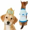 Frisco Happy Birthday Crown, X-Small/Small + Dog & Cat T-Shirt, Blue -Dog Cat Corner 302470 MAIN. SY630 V1623076950