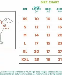 Frisco Happy Birthday Crown, X-Small/Small + Dog & Cat T-Shirt, Blue -Dog Cat Corner 302470 PT8. SY630 V1623075757