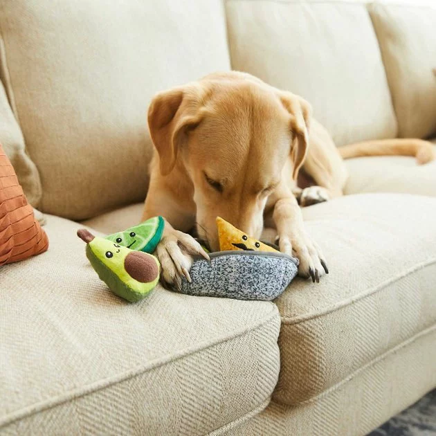 Frisco Hide & Seek Plush Guacamole Dog Toy + Refills, 3-Pack 7 Frisco Hide & Seek Plush Guacamole Dog Toy + Refills, 3-Pack - Image 5