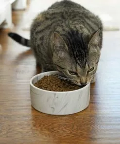 Frisco Marble Design Non-skid Ceramic Dog Bowl + Treat Jar with Wood Lid, 3.75 Cups -Dog Cat Corner 302482 PT4. SY630 V1623034666