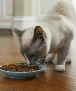 Frisco New York Non-skid Ceramic Dish, 0.50 Cup + Cat Bowl, 1.50 Cups -Dog Cat Corner 302488 PT4. SY630 V1623069142