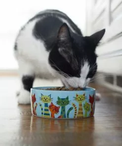 Frisco New York Non-skid Ceramic Dish, 0.50 Cup + Cat Bowl, 1.50 Cups -Dog Cat Corner 302488 PT8. SY630 V1623091056