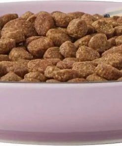 Frisco Paris Non-skid Ceramic Dish, 0.50 Cup + Cat Dish, 1.50 Cup -Dog Cat Corner 302490 PT2. SY630 V1623058041