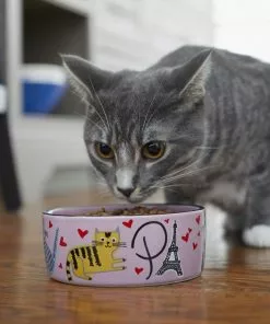 Frisco Paris Non-skid Ceramic Dish, 0.50 Cup + Cat Dish, 1.50 Cup -Dog Cat Corner 302490 PT8. SY630 V1623043046