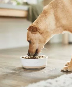 Frisco Silicone Food Mat, Gray, Large + Bones Non-skid Ceramic Dog Bowl 19 Frisco Silicone Food Mat, Gray, Large + Bones Non-skid Ceramic Dog Bowl -Dog Cat Corner 302516 PT8. SY630 V1623070060