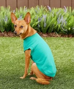 Frisco Basic Dog & Cat T-Shirt, Red + Teal -Dog Cat Corner 302650 PT7. SY630 V1623051747