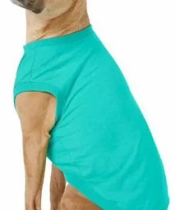 X - Frisco Basic Dog & Cat T-Shirt, Red + Teal, X-Large -Dog Cat Corner 302654 PT5. SY630 V1623057449