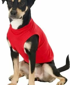 Frisco Basic T-Shirt, Red + Dog & Cat Hoodie, Red 15 Frisco Basic T-Shirt, Red + Dog & Cat Hoodie, Red -Dog Cat Corner 302662 PT4. SY630 V1633128173