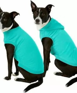 Frisco Basic T-Shirt, Teal + Dog & Cat Hoodie, Teal -Dog Cat Corner 302676 PT2. SY630 V1633127879