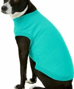 Frisco Basic T-Shirt, Teal + Dog & Cat Hoodie, Teal -Dog Cat Corner 302676 PT4. SY630 V1633123589