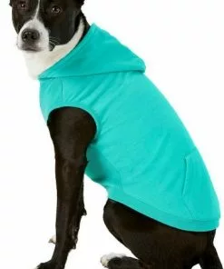 Frisco Basic T-Shirt, Teal + Dog & Cat Hoodie, Teal -Dog Cat Corner 302676 PT5. SY630 V1633126626