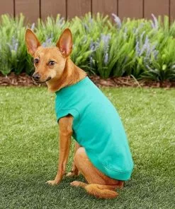 Frisco Basic T-Shirt, Teal + Dog & Cat Hoodie, Teal -Dog Cat Corner 302676 PT6. SY630 V1633127770
