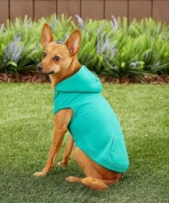 Frisco Basic T-Shirt, Teal + Dog & Cat Hoodie, Teal -Dog Cat Corner 302676 PT7. SY630 V1633123351