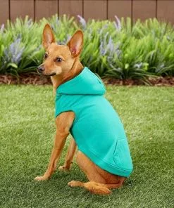 Frisco Basic T-Shirt, Teal + Dog & Cat Hoodie, Teal -Dog Cat Corner 302676 PT8. SY630 V1623057743