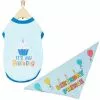 Frisco Birthday Prince Bandana, Medium/Large + Dog & Cat T-Shirt, Blue -Dog Cat Corner 302690 MAIN. SY630 V1633081285