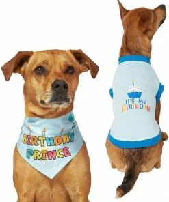 Frisco Birthday Prince Bandana, Medium/Large + Dog & Cat T-Shirt, Blue -Dog Cat Corner 302690 PT2. SY630 V1633059989