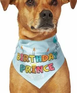 Frisco Birthday Prince Bandana, Medium/Large + Dog & Cat T-Shirt, Blue -Dog Cat Corner 302690 PT3. SY630 V1633075586
